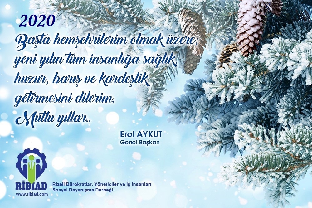 Yeni Yıl